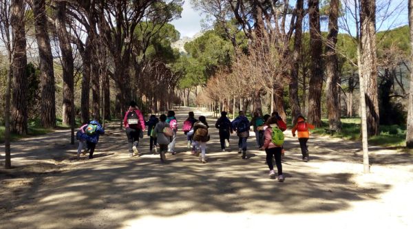 Excursiones escolares naturaleza Madrid Sierra
