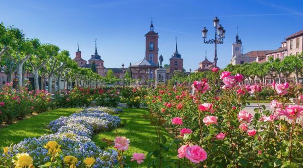 Alcalá de Henares visitas culturales colegios Madrid