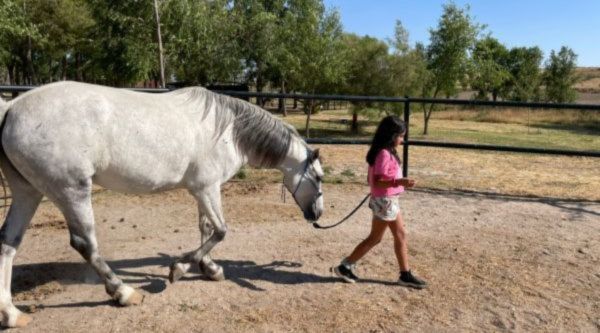 Excursión escolar con animales en Madrid