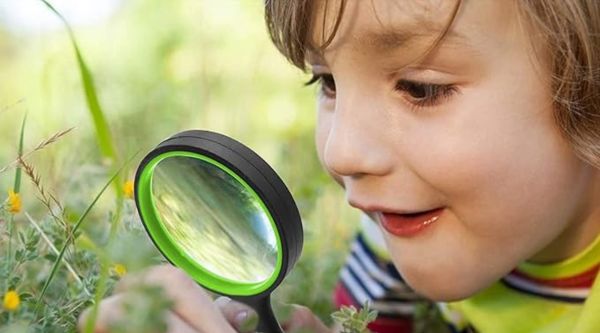 Excursiones escolares de infantil en Madrid