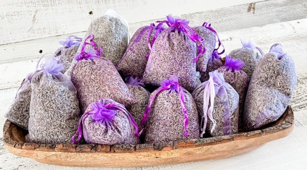 Taller para colegios en Madrid cursos de infantil