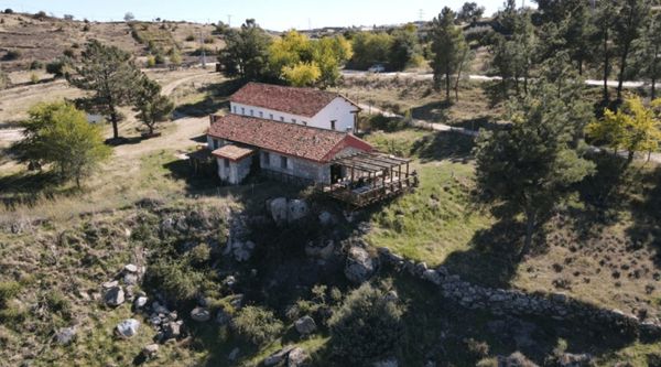 Viaje fin de curso primaria en Ávila