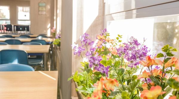 Instalaciones Viaje fin de curso en Guadarrama